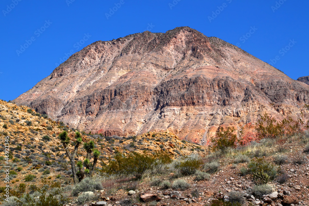 Fototapeta premium Beaver Dam Mountains Wilderness Area