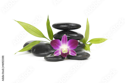 zen stones with pink orchid and bamboo leaf on white background