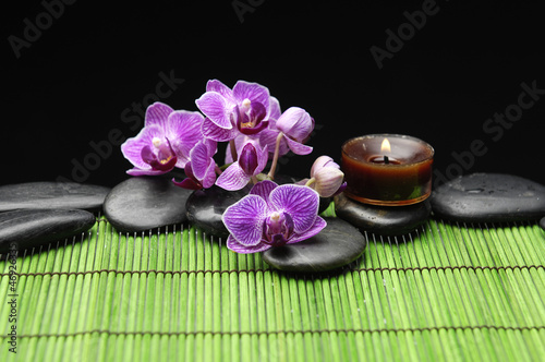 pink orchid with black stone and pink orchid on green mat