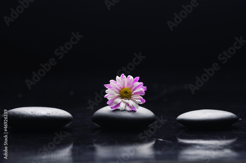 Zen three stones with pink gerbera reflection