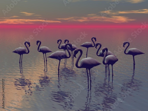 flamingo and sea