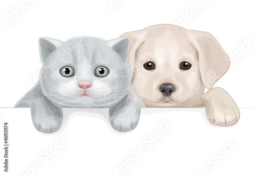 Vector of cute puppy and kitten hiding by blank.