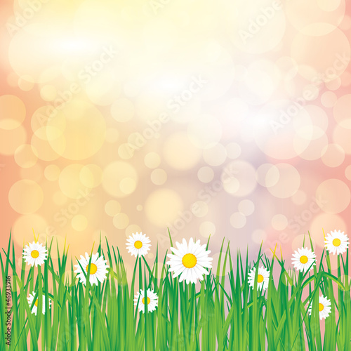 Abstract spring summer background