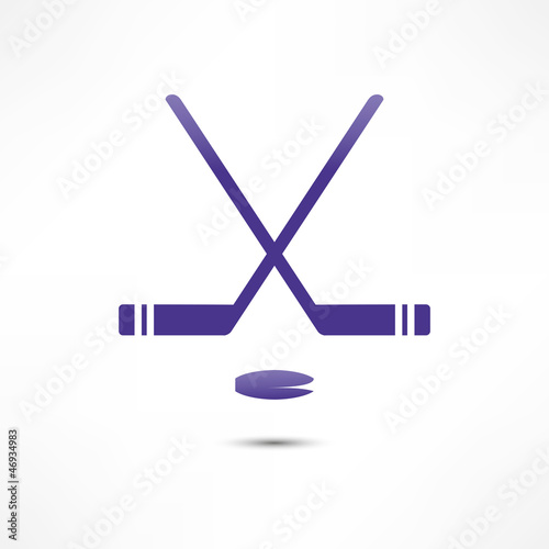 Photography Hockey Stick And Puck Icon