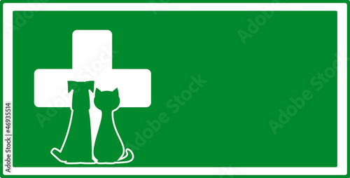 green veterinary visiting background with dog and cat