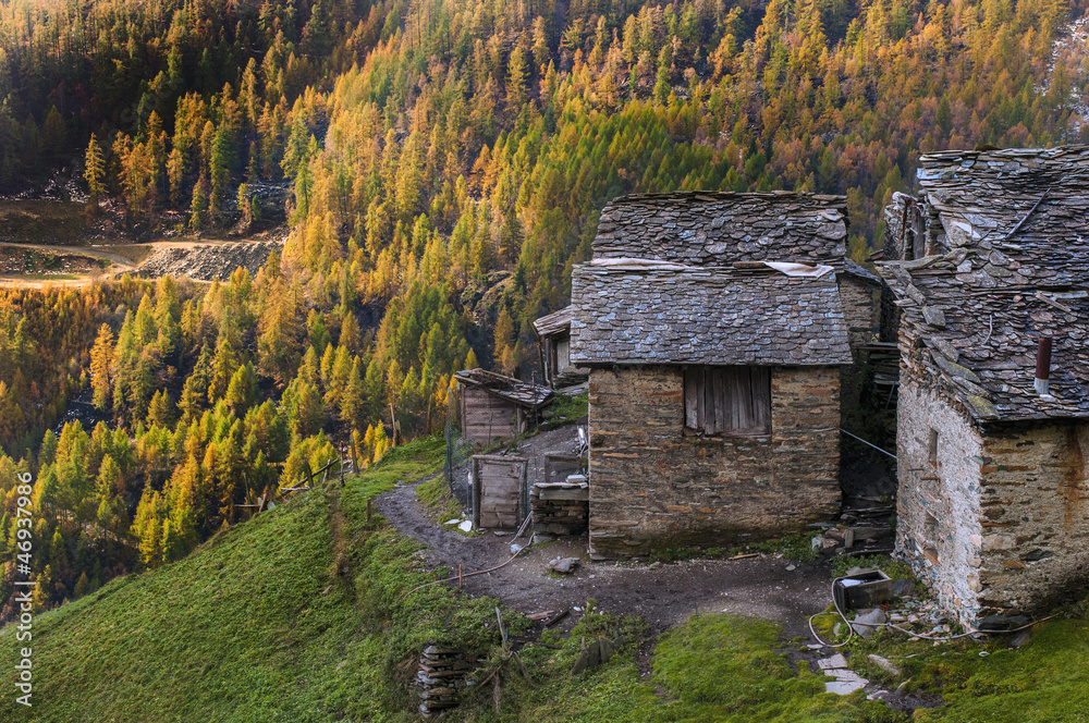 Fototapeta premium cascina