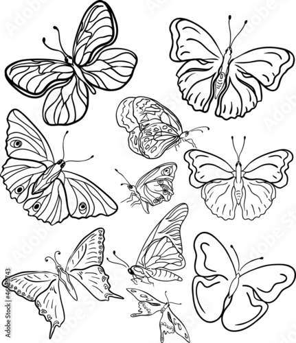 outline butterfly silhouettes