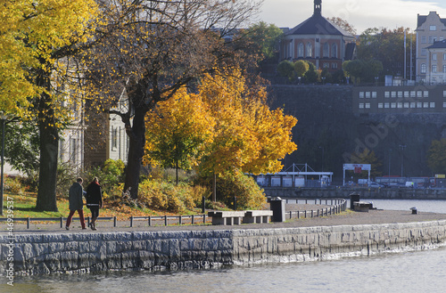 Stockholm autumn walkj