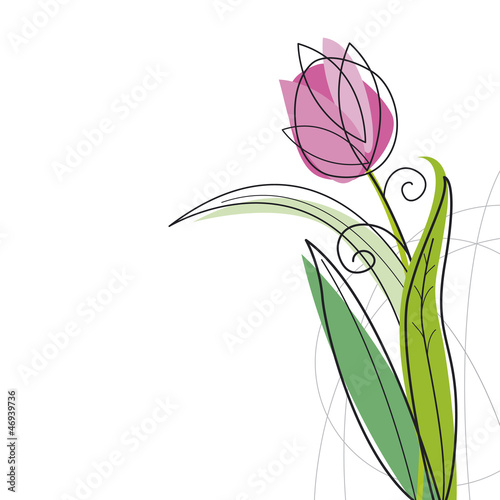 Tulip design on white background
