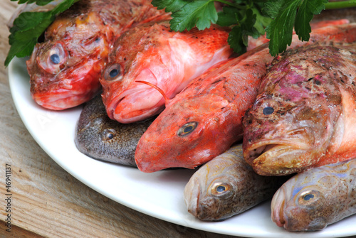 raw fishes on wood table with parsley