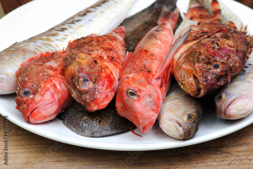 raw red fishes from local fish market photo