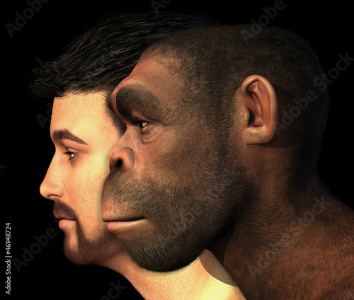 Modern Human and Homo Erectus Man Compared photo