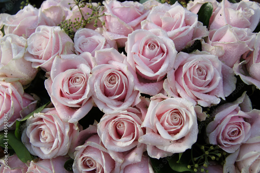 Wedding bouquet close up: pink roses