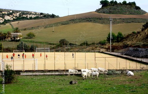 Calcio rurale photo