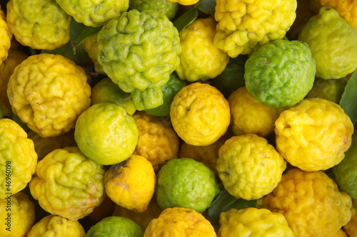 Kaffir limes