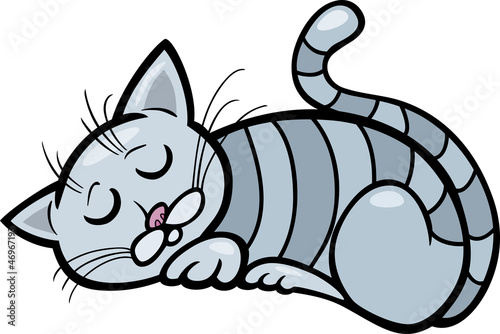 sleeping cat cartoon illustration
