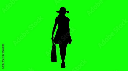 Catwalk Model Silhouette