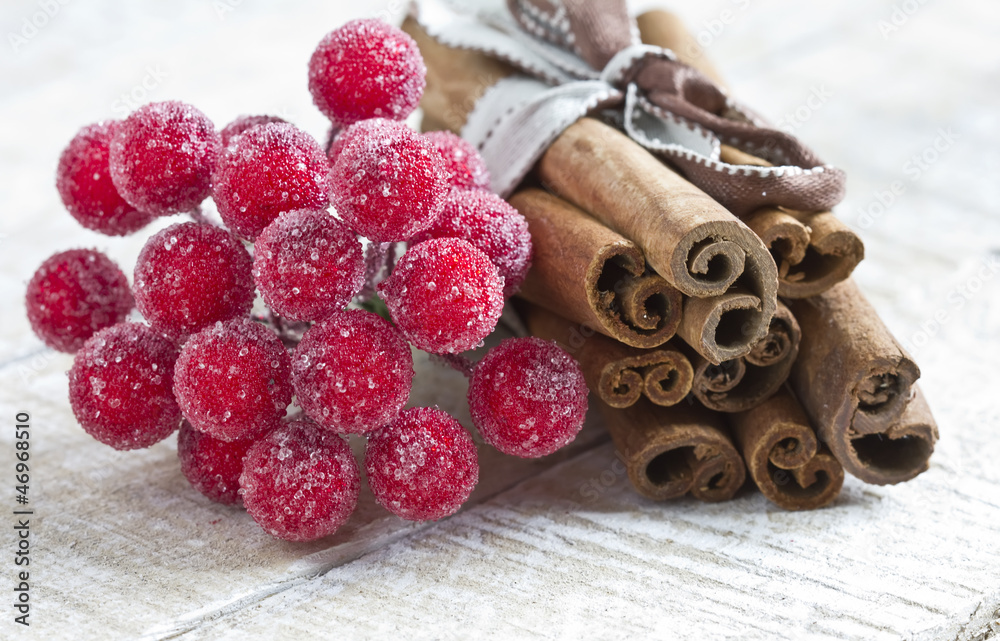 Fototapeta premium Group of spaces with cinnamon and winter berries on wooden table