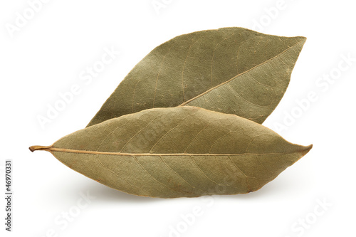 Obraz na płótnie Dried Bay Leaf