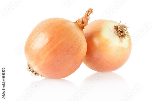 Onion vegetable on white, clipping path included