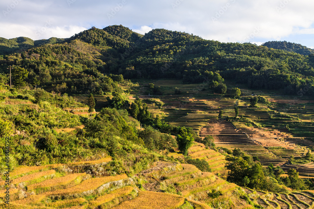 Landscape of rice terraces in the evening