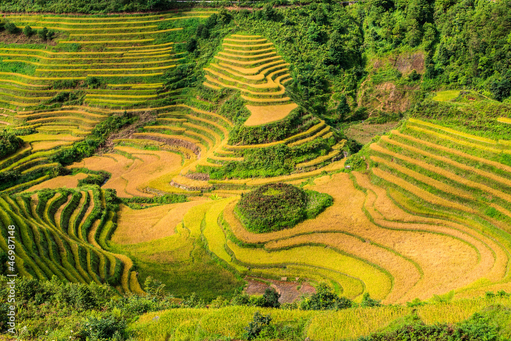 Beautiful green rice terrace contours