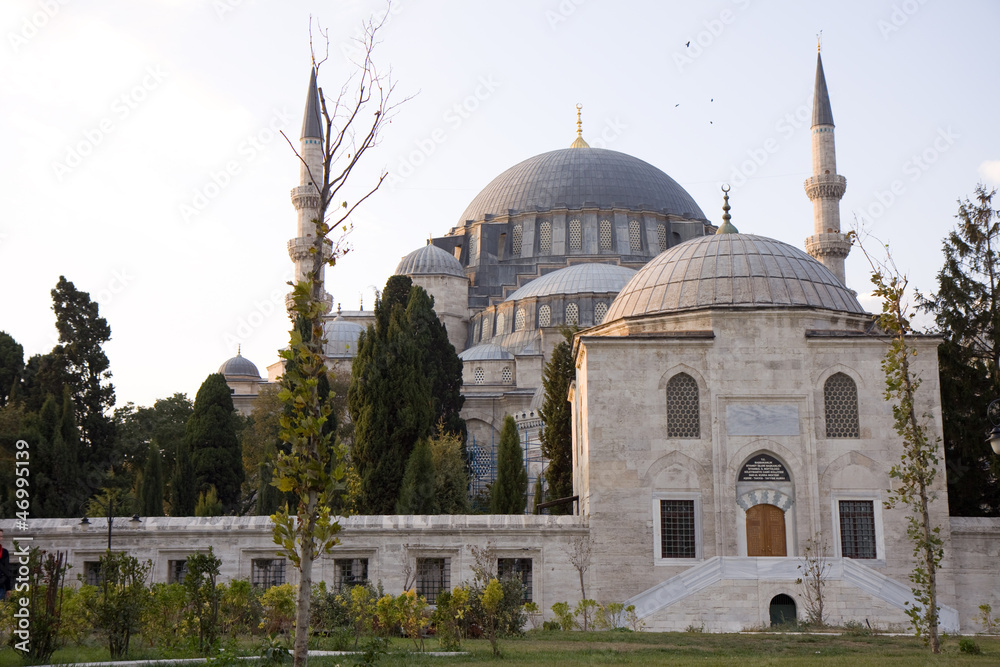 Fototapeta premium Süleymaniye mosque