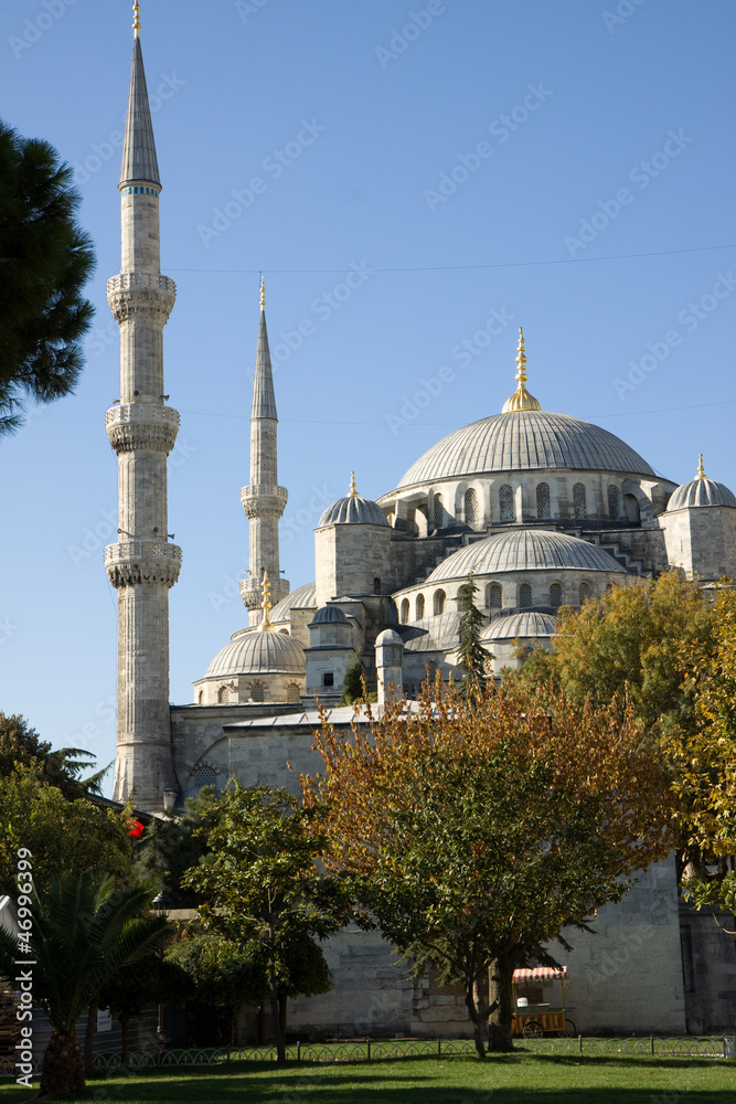 Fototapeta premium blue mosque in istanbul