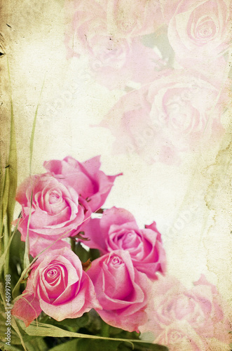 Pink roses on vintage background