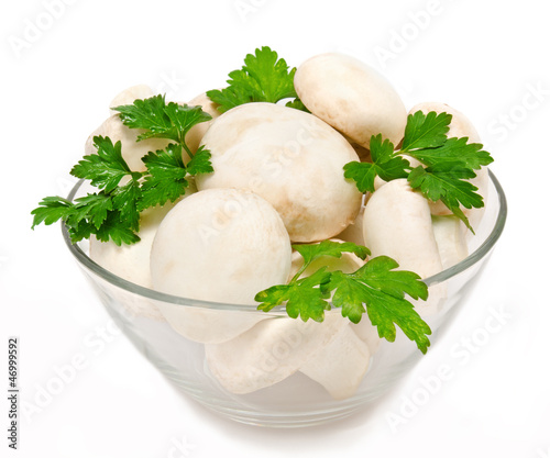 Champignon mushroom white agaricus witn parsley in the bowl
