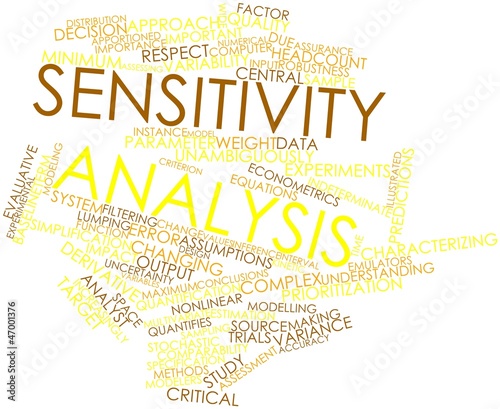 Word cloud for Sensitivity analysis photo