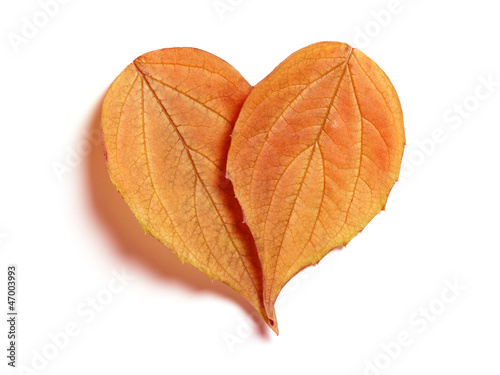 Leaf Hearts