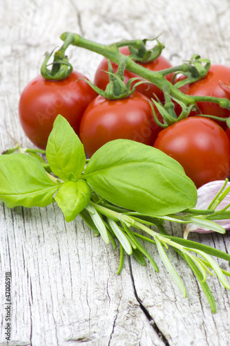 fresh herbs,tomatoes and garlic