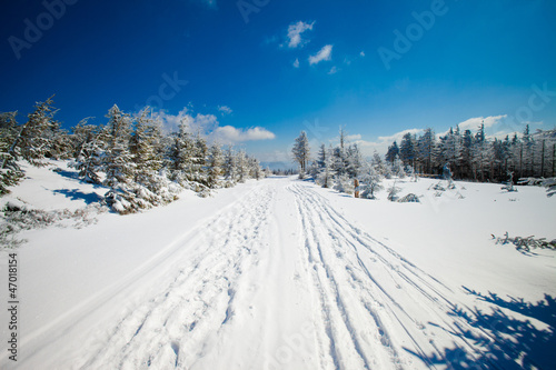 Fototapeta Naklejka Na Ścianę i Meble -  Beautiful winter mountain landscape