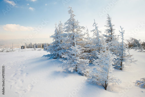 Beautiful winter mountain landscape
