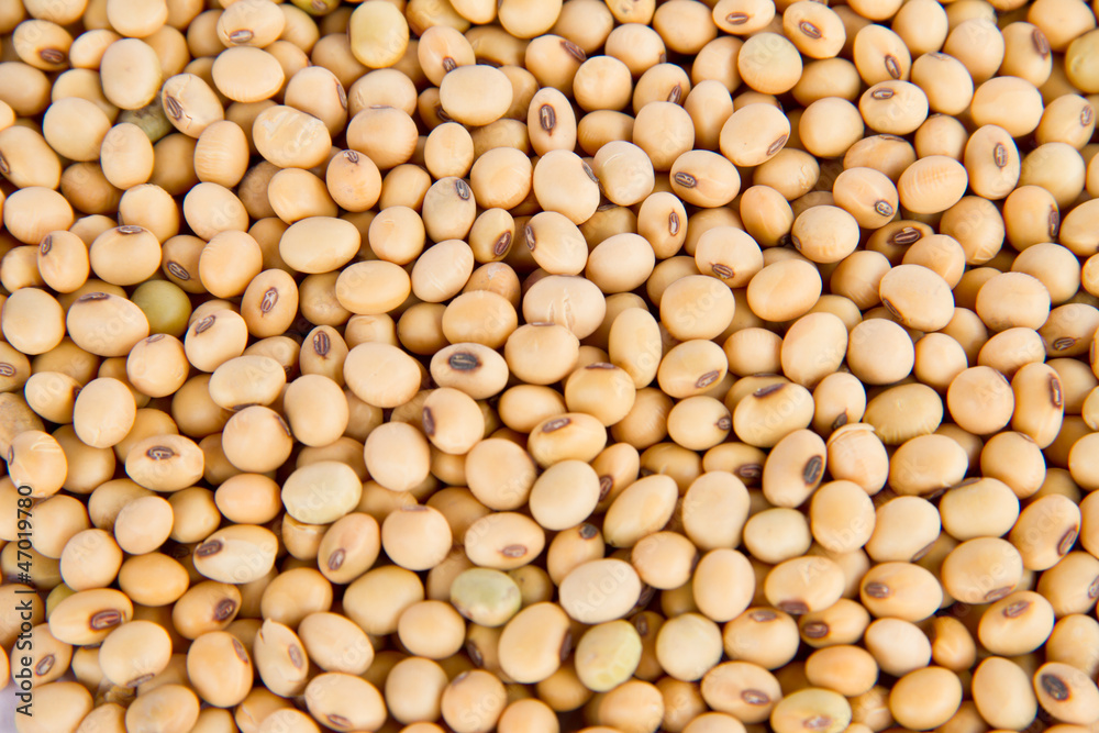 Image of close up of soya beans background Image of close up of soya beans background