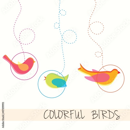 Birds icons
