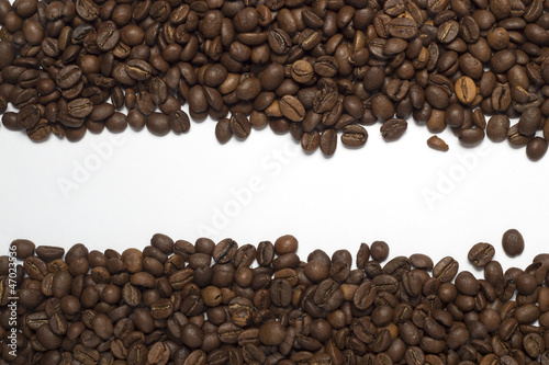 Coffee beans are laid out in two parts with white space