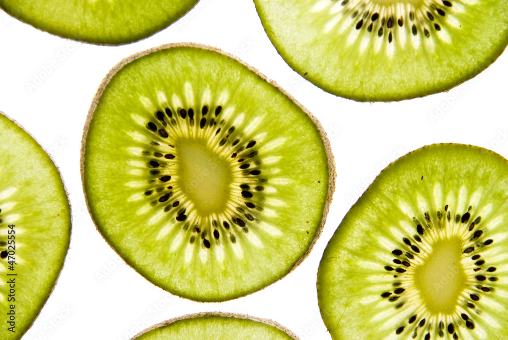 Fototapeta premium Kiwi