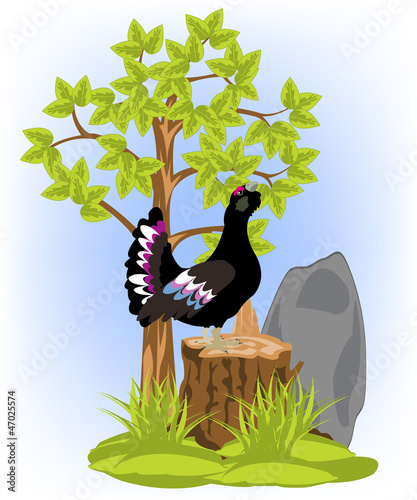 Black grouse on hemp