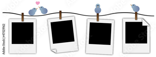 Polaroid Vogel Reihe Vektor