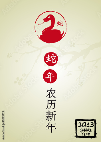 Snake Year