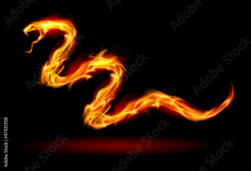 Fire snake