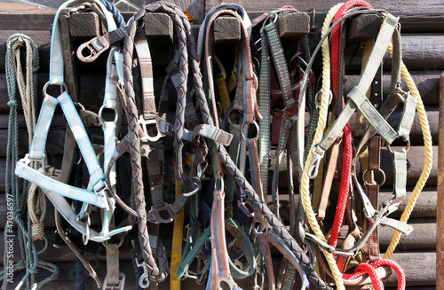 Details of diversity used horse reins