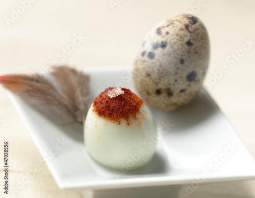 OEUF DE CAILLE photo