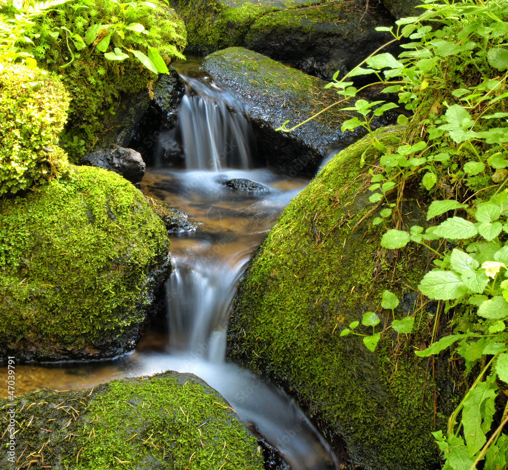 Fototapeta premium Górski potok wśród omszałych kamieni