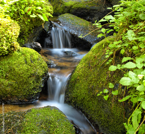 Fototapete Mountain stream among the mossy stones