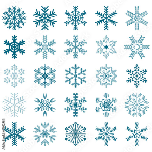 collection of 25 vector snowflakes
