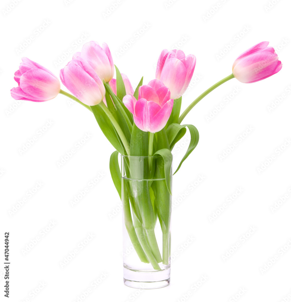 Pink tulips bouquet in vase isolated on white background Pink tulips bouquet in vase isolated on white background