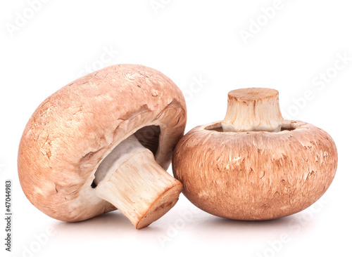Brown champignon mushroom